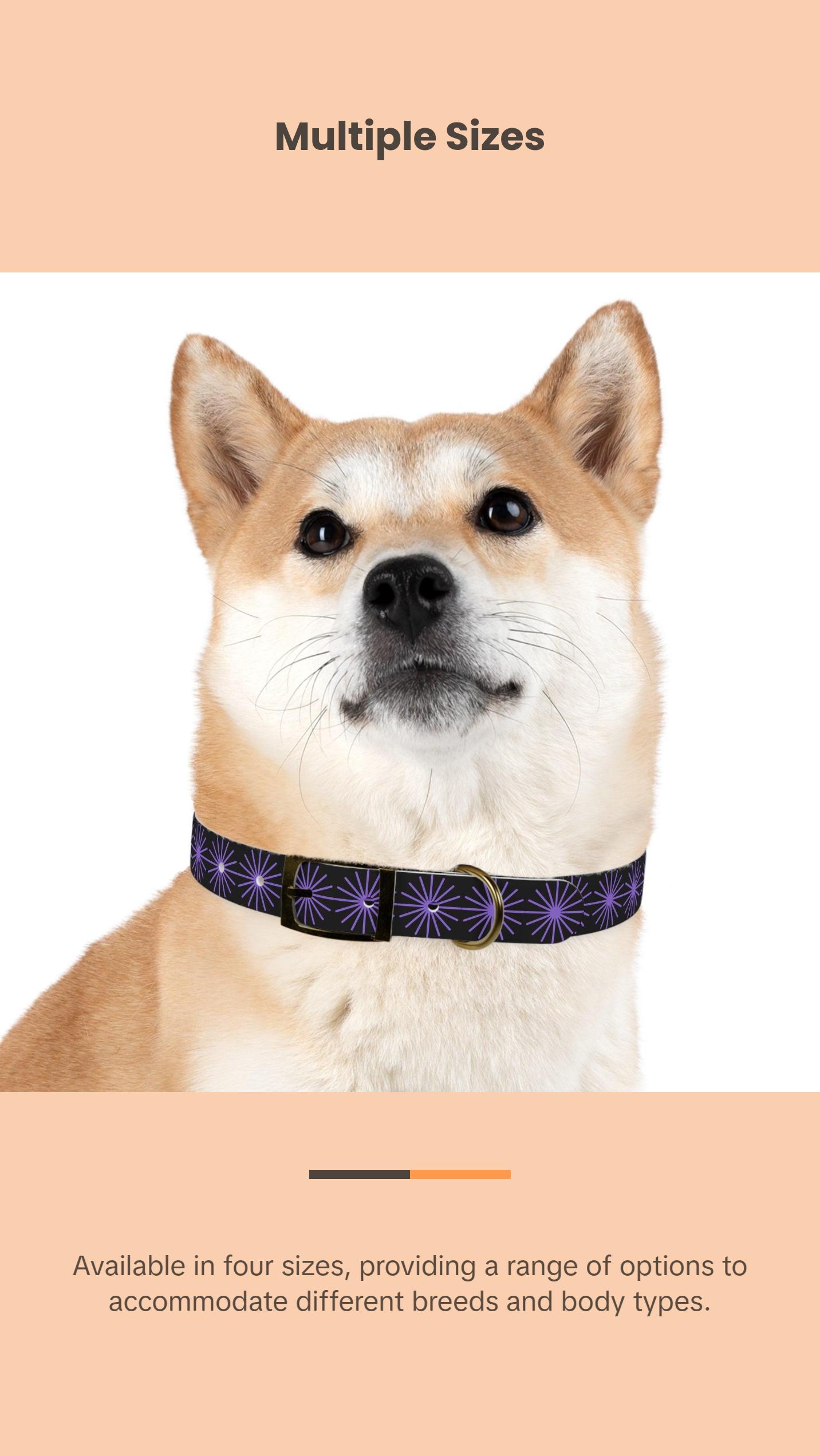 Black and purple star dog collar