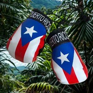Puerto Rico Flag mini boxing gloves set