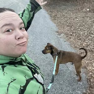 Product Review of iYoShop Hands Free Dog Leash with Zipper Pouch, Dual Padded Handles and Durable Bungee for Walking, Jogging and Running Your Dog from C**y F**s