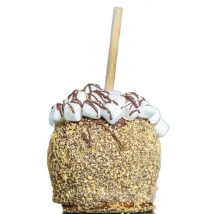 S'mores Milk Chocolate Gourmet Caramel Candy Apple