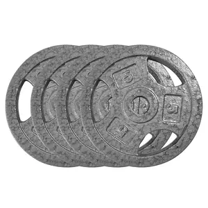 Garvee Cast Iron Weight Plates Set 1 in, 2.5 LBS/5 LBS/10 LBS/25 LBS Bumper Plates for Home Gym, Strength Training & Weightlifting (4 x 5 LBS Sets)