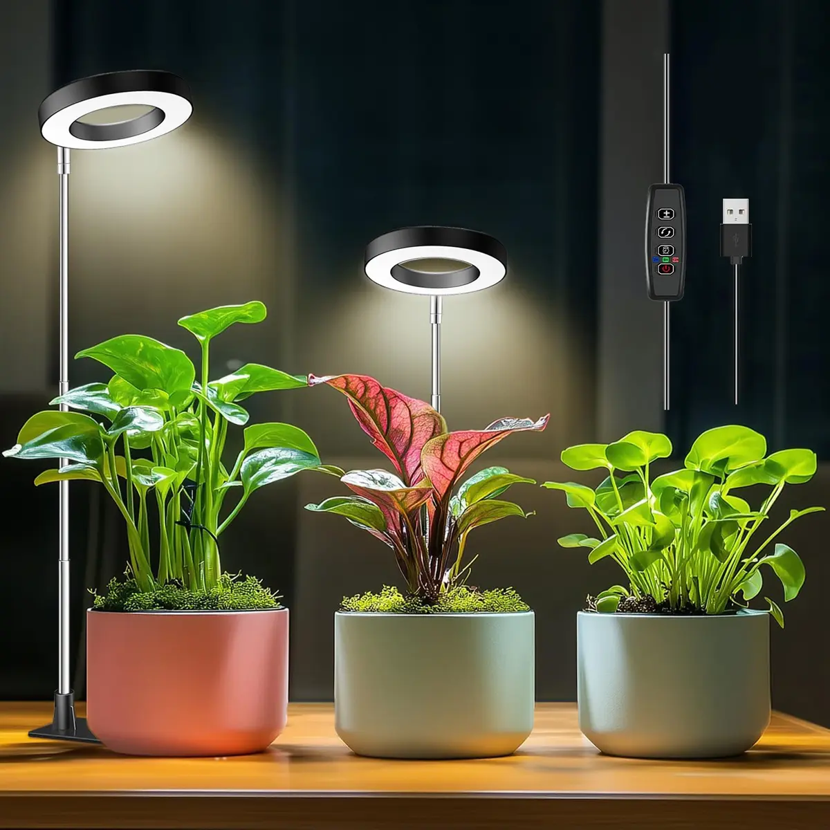 Indoor Plant Grow Light, USB Powered LED Full Spectrum Plant Light, Height Adjustable LED Plant Light with 10 Dimming Brightness & On/Off Time Home Modern