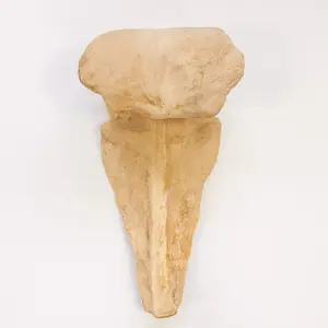 2-Pack Decorative Sconce