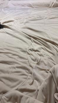 product review image from Patty Noriega 7