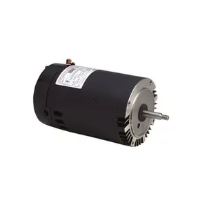 Regal Beloit America - Epc  AO Smith Motor 2 HP - 115 - 230 Volt Single Speed Motor