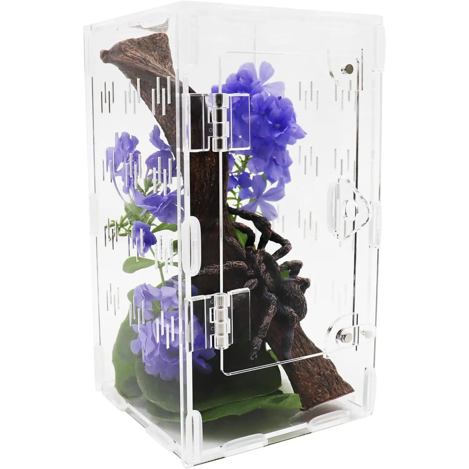 Spider Enclosure, Spider Terrarium, Acrylic Enclosure Kit, Small Terrarium, Insect Habitat for Spiders, Praying Mantis, Arboreal Tarantula, Bug, Frog, Snail, Lizard and Small Reptiles