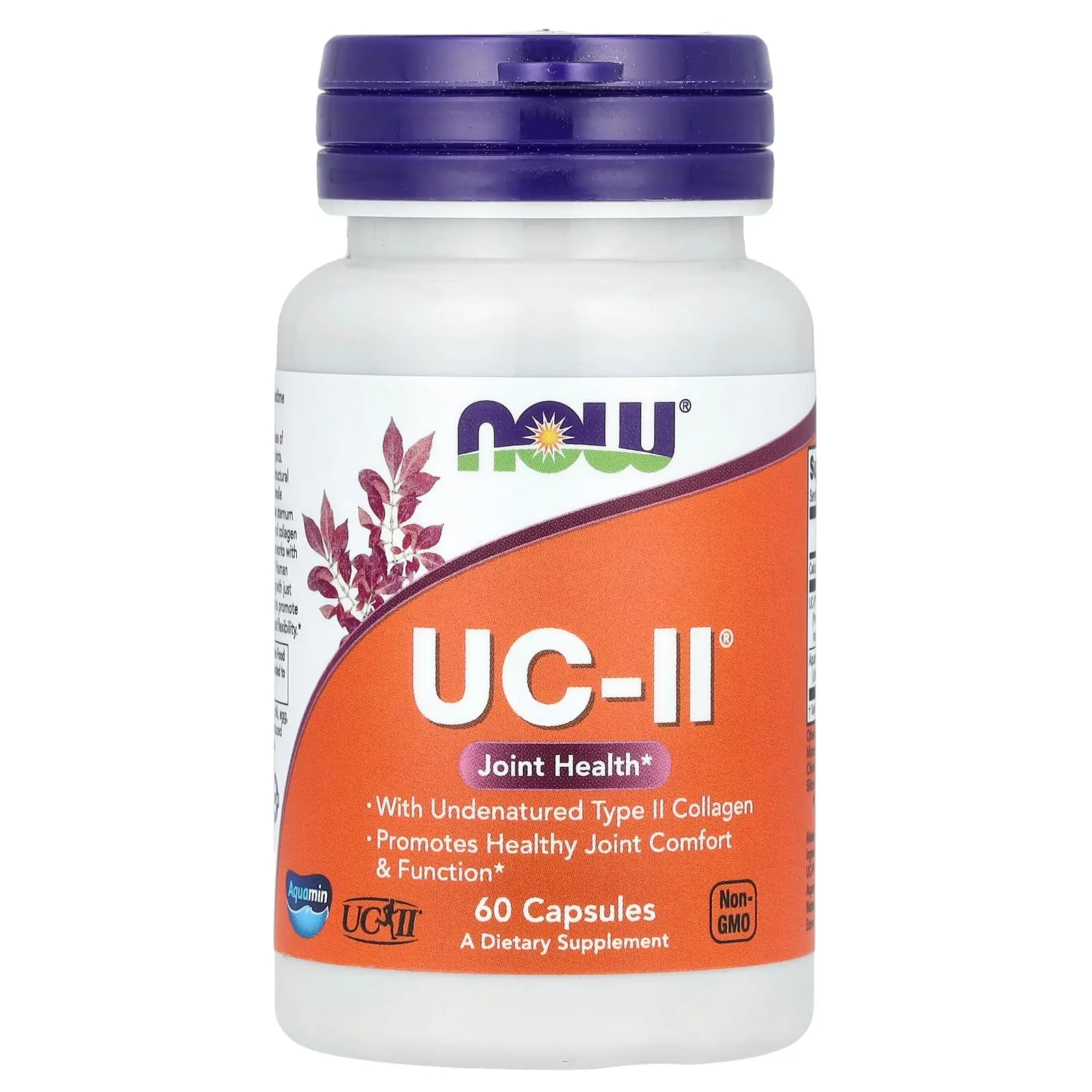 NOW Foods UC-II® Joint Health with Undenatured Type II Collagen, 60 Capsules NOW Foods UC-II® Joint Health with Undenatured Type II Collagen, 60 Capsules