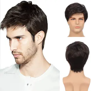 Black Short Men Wigs Layered Syntheric Hair Cosplay Costume Party Daily Male Wigs
