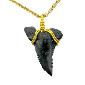 Rare Snaggletooth Shark Fossil Necklace – 14K Gold Pendant with Hand-Picked 14K Gold Chain Featuring Striking Serrated Edges