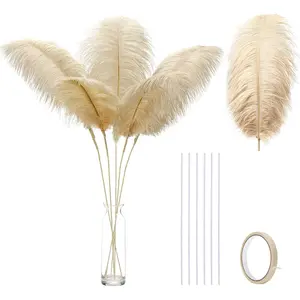 Large Champagne Ostrich Feathers - 12 count 24-26inch Feathers Making Kit Boho Feathers for Vase,Wedding Party Centerpieces and Home Decor