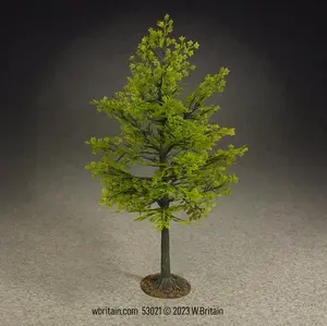 Summer Maple Tree
