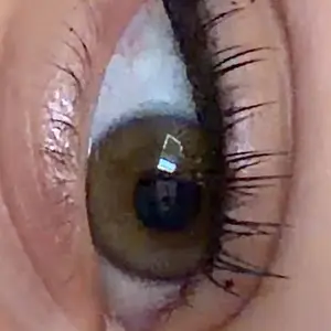 review image 2