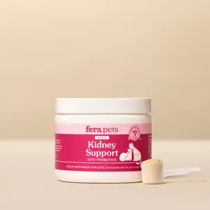 Kidney Support for Cats