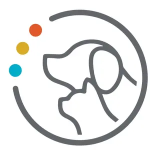 background preload poster image 