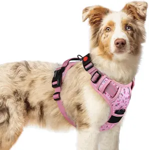 rabbitgoo Bloom Walk Easy-On No Pull Dog Harness