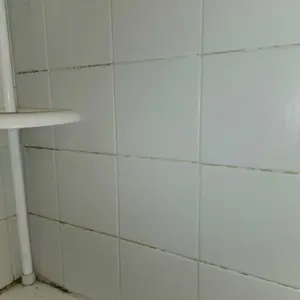 Product Review of Schenley 18-in-1 Steam Mop with Detachable Handheld Steamer for Walls, Floors, Tiles, Tackles Grease & Sticky Messes, Includes Multiple Accessories Cleaning Tools Cleaning Set from M**y