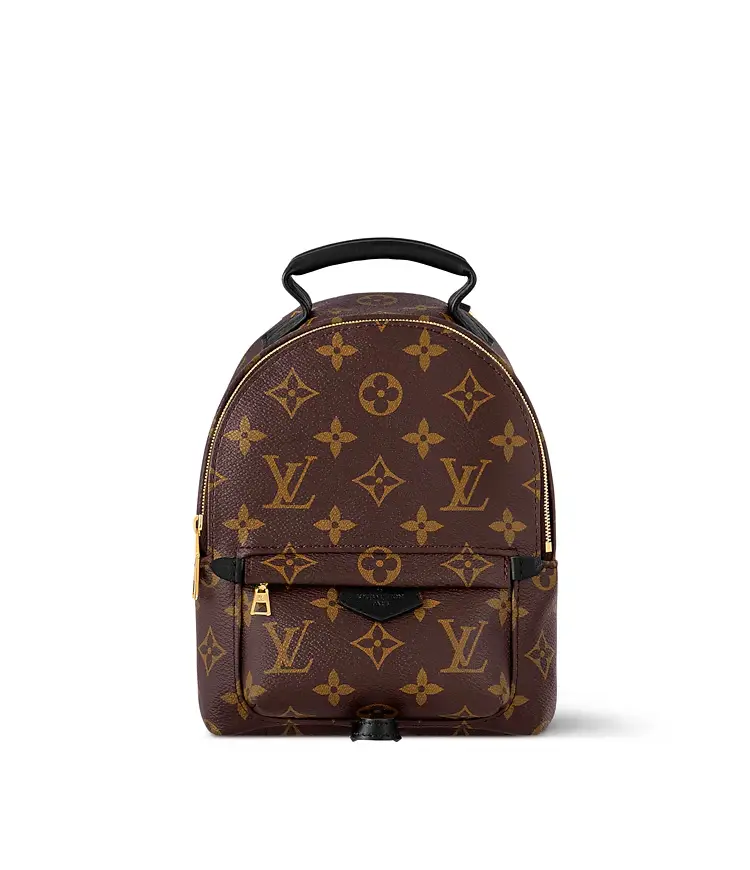 Pre-owned Louis Vuitton leather Mini Bags Monogram Canvas Mini Palm Springs Backpack