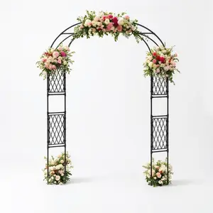 Garvee - Garden arch with plastic mesh, iron and PE climbing plant support, anti-corrosion, outdoor garden decoration, 2 sizes available: 150x40x220 cm