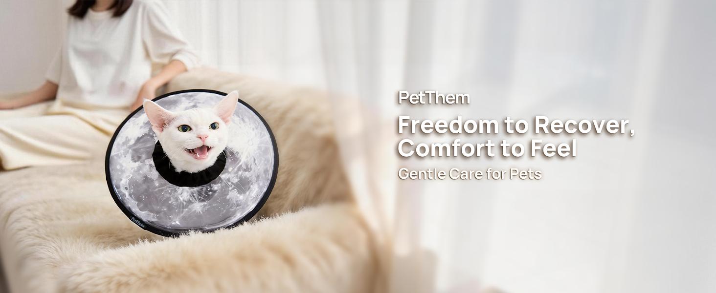 【SpringGlowUp】HICC PET Pet collar,Cute Cat  Waterproof Cat Recovery Collar,Anti-Bite Lick Wound Healing Safety Elizabethan e Collar for Cats,Purple Flower All-Season Style