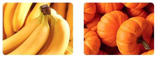 FINN Digestive Probiotics for Dogs - Complete Digestive System Support with 6 stains  Live Probiotics, Pumpkin & Prebiotics - Vet Recommended - 90 Soft Chews – Canine Nutritional Supplement