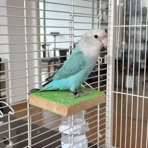Parrot Perch Scratching Post, Textured Board, Suitable for Tiger Barbet, Peony, Long-Tailed Parrots, Bird Cage Accessory
