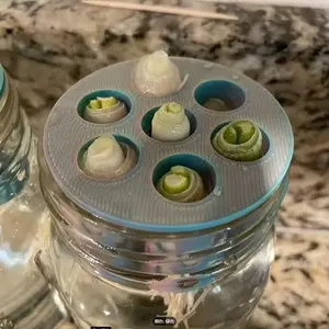 7-Cell Hydroponic Growing System, Transparent Root Observation, Modular Design, Ideal for Herbs & Leafy Greens, No Power Needed