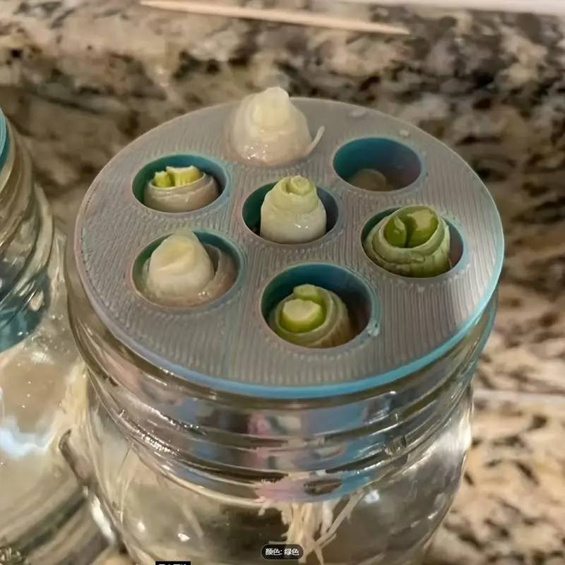 7-Cell Hydroponic Growing System, Transparent Root Observation, Modular Design, Ideal for Herbs & Leafy Greens, No Power Needed