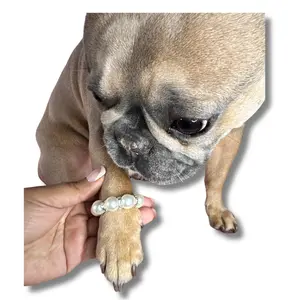 Rhinestone Bracelet W/ Rhinestone Spacers - Pet Bracelet Accessory