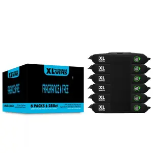 Unscented XL Flushable Wipes - 6 Flip-Top Packs Case, 48 Wipes per Pack, Total 288 Wipes, Suitable for Toilets