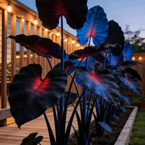 Hosta Seeds Perennial Shade Plant for Garden and Yard Non-GMO USA Made with Instructions for Easy Care Versatile Growth