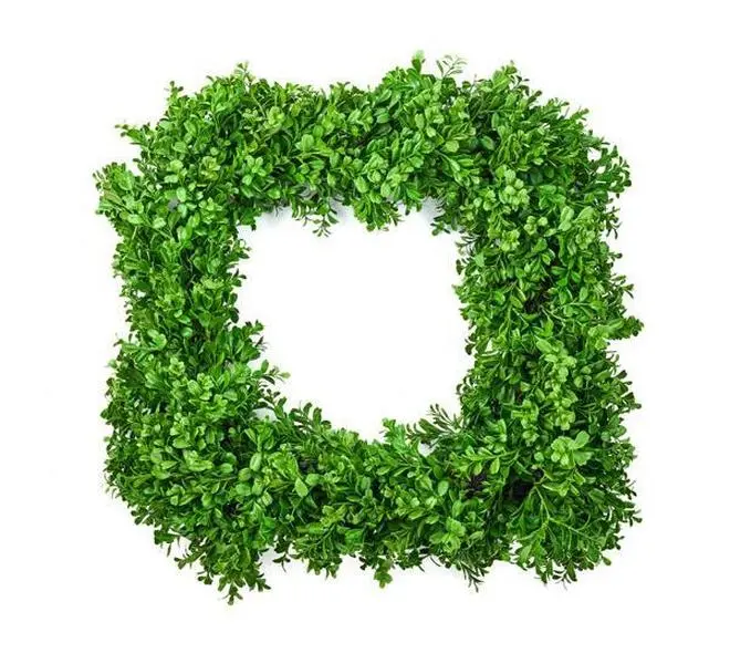24" Square Boxwood Wreath