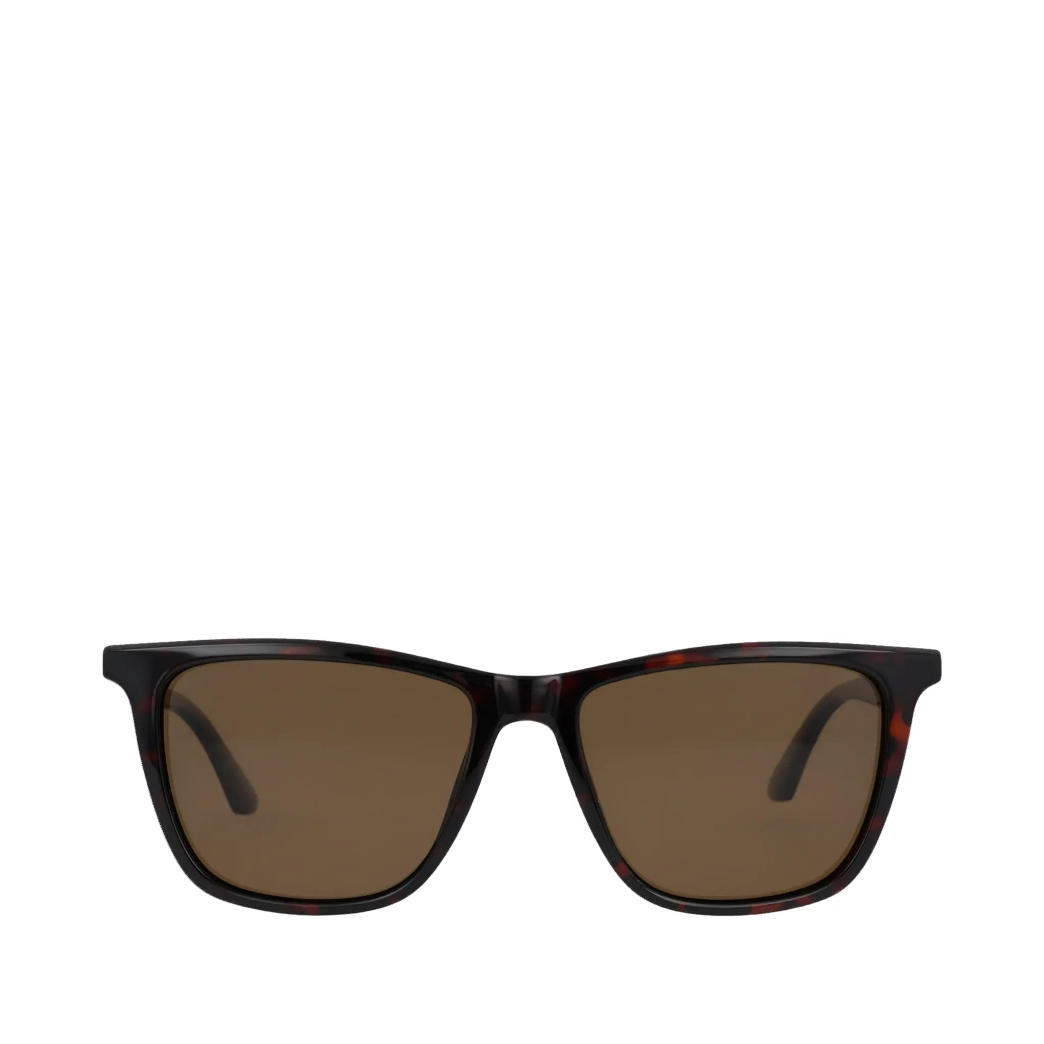 Rio Whiskey Tortoise Traveler Sunglasses