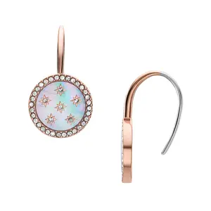 Fossil Women's Merrit Northlight Collection Rose Gold-Tone Stainless Steel Drop Earrings