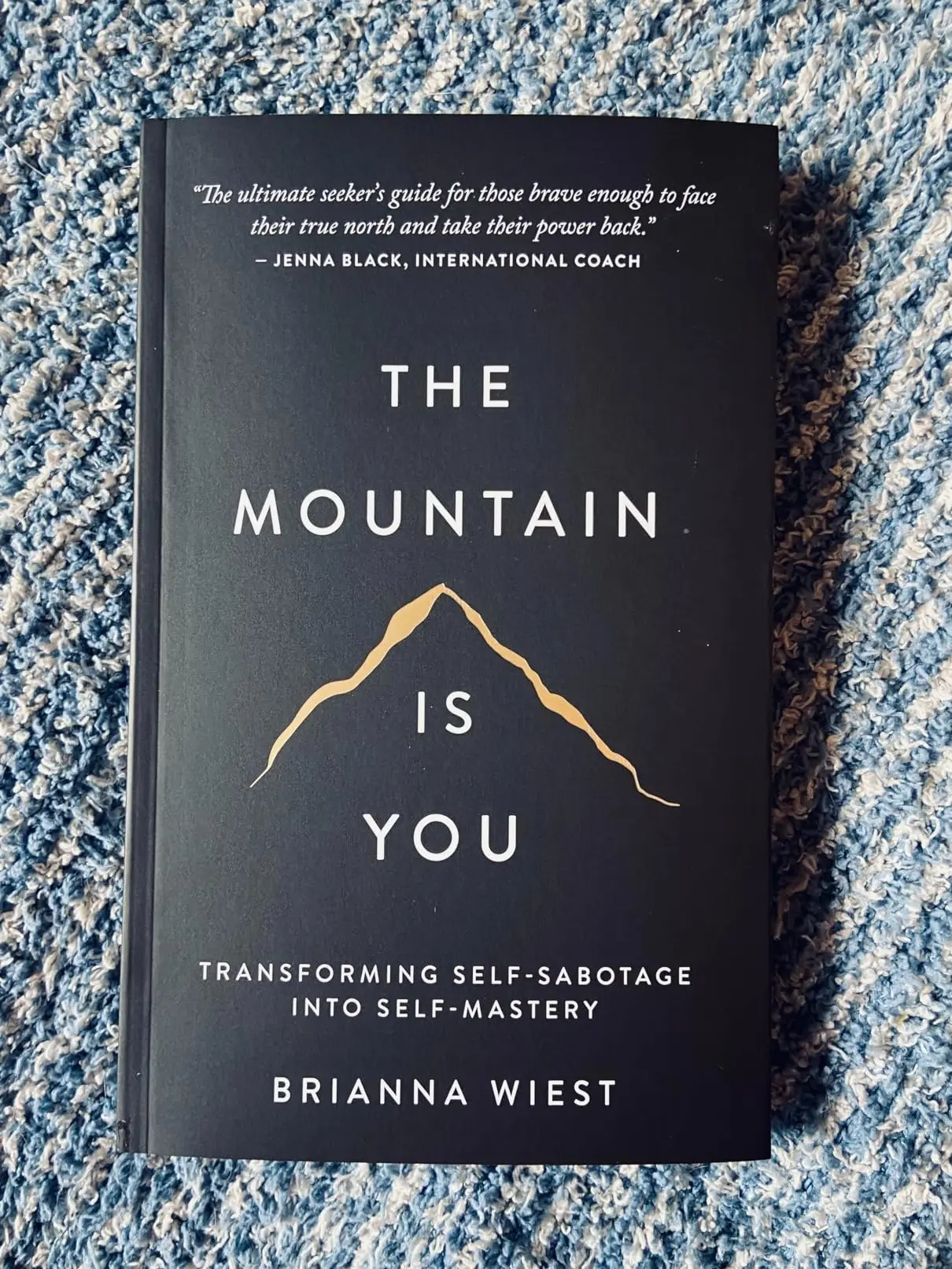 The Mountain Is You: Transforming Self-Sabotage Into Mastery - Humanities & Social Sciences Career & Self-Help Guided Journal, Shadow Work Workbook for Emotional Intelligence, Building Resilience