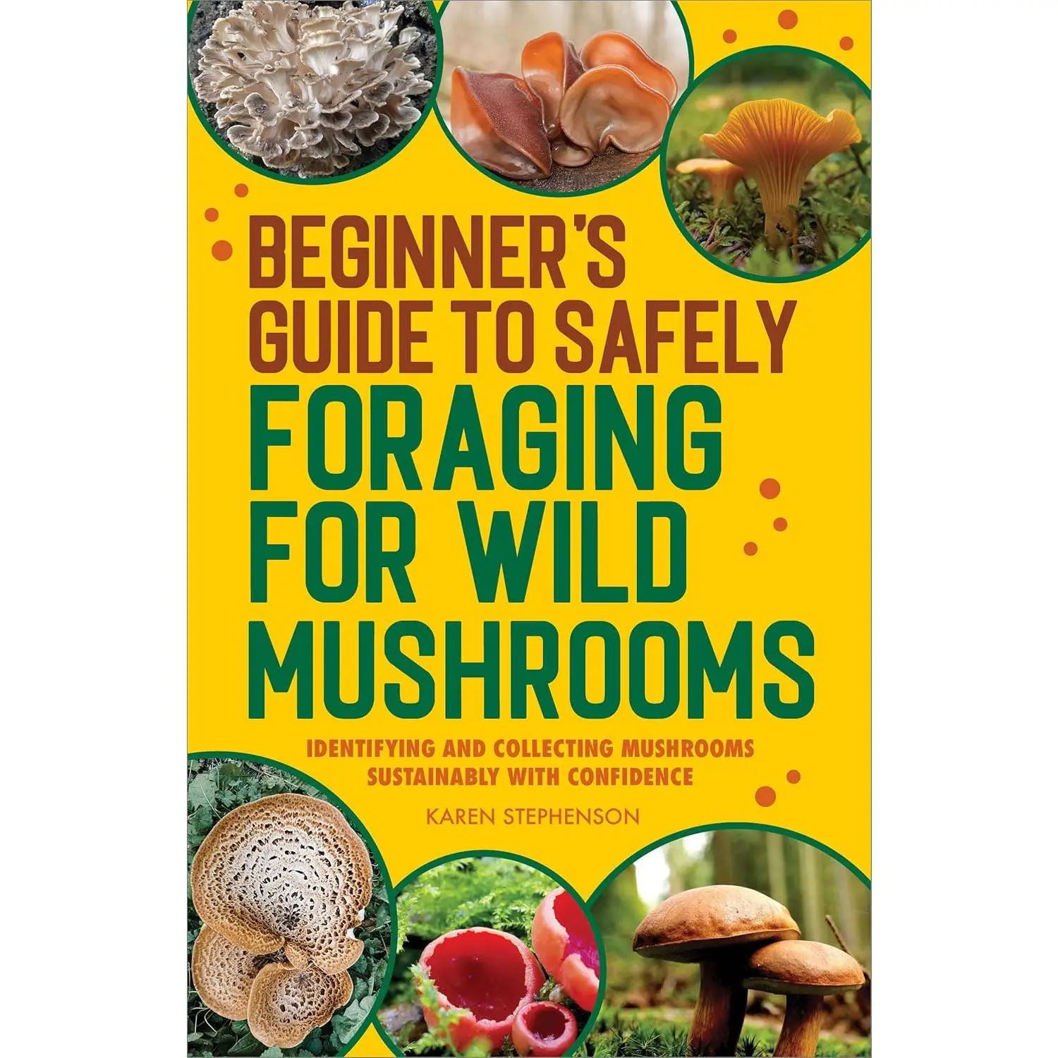 Beginner's Guide to Safely Foraging for Wild Mushrooms: Identifying and Collecting Mushrooms Sustainably with Confidence