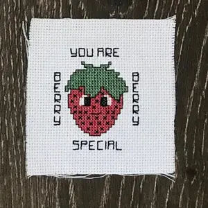 Starter Stitches: Strawberry Cross-Stitch Kit | “You Are Berry Special”