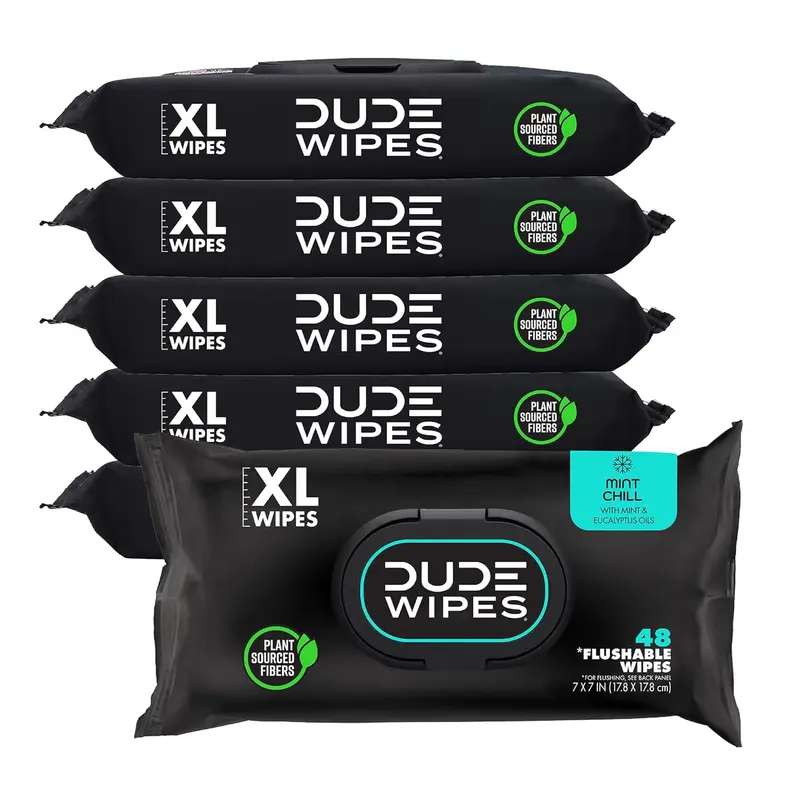 DUDE Wipes Extra Large Flushable Wet Toilet Paper & Wipes - 6 Pack, 288 Count - Mint Chill Scent - Vitamin-E, Aloe, Eucalyptus, Tea Tree Oils - Eco-Friendly Plant Sourced - Septic & Sewer Safe - Ideal for Morning Use