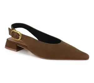 BCBG Leonora Pointed Toe Flat