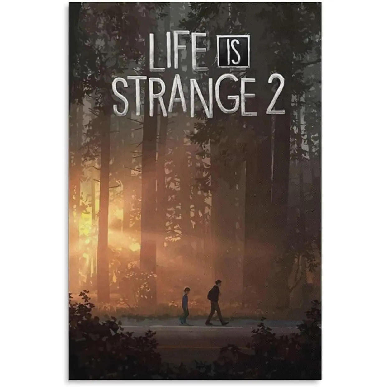 Life Is Strange 2 Poster Room Aesthetic Posters, Canvas Prints, Wall Art for Bedroom, Office, And Gift Decoration Poster