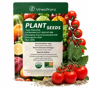 Beefsteak Tomato Seeds: 60+ Heirloom Non-GMO Seeds for Planting, High Germination Rate, Indeterminate, Large, Meaty Slicing Tomato, High Yield for Summer Vegetable Gardens (Solanum lycopersicum)
