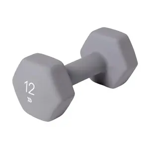 Dumbbell 12lbs Gray, Single, for Men Women Home Gym Full Body Strength Training