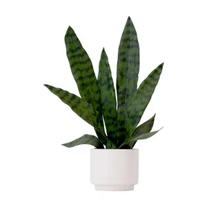 Nearly Natural 16"Artificial Sansevieria SnakePlant w Planter