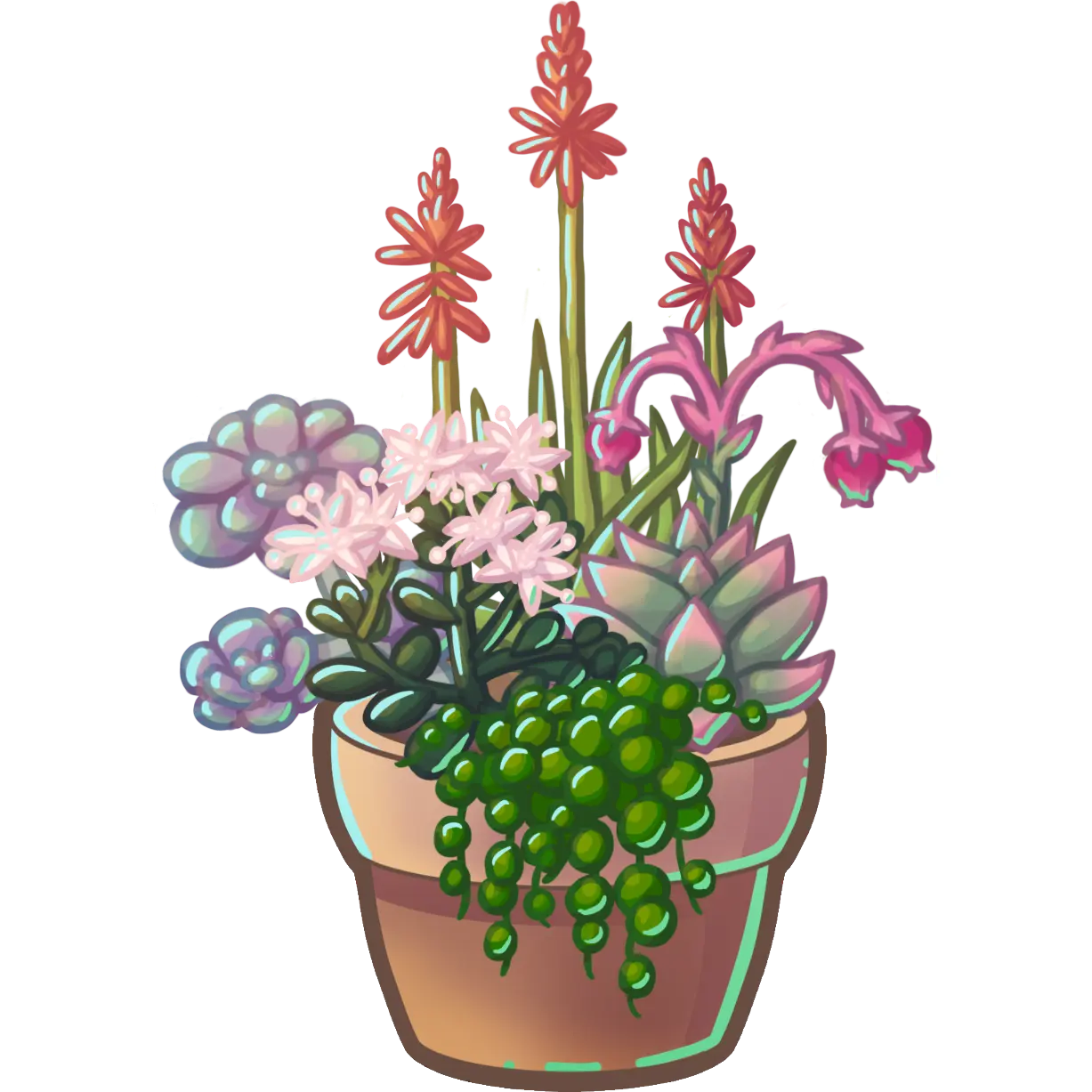 Succulents Sticker