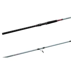 Daiwa Team Daiwa Spinning Surf Rods
