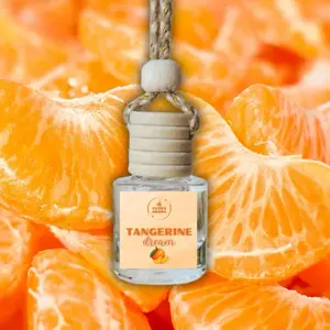 Tangerine Car Diffuser - Hanging Air Freshener
