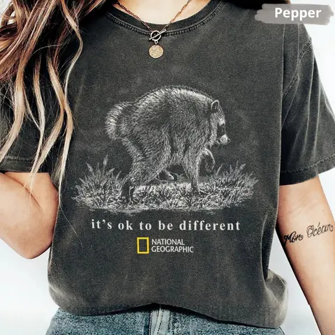 Comfort Colors Jimothy Raccoon T Shirt, Famous Seattle Raccoon Graphic Tee, Vintage Y2K Graphic T-Shirt, Cute Trash Panda TShirt, Funny Animal Gift