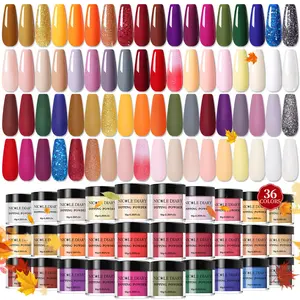 NICOLE DIARY Dipping Powder Nail Kit 36/20 Colors Set, Colorful Fall Winter Glitter Style Easy To Use DIY AT Home Nail Art Salon Style Nail Care Long Lasting For Beginner Ideal Gift Nails Gel X Set