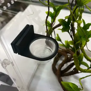 Magnetic Ledge for Reptile Feeding