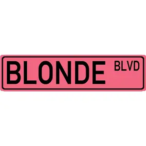 Blonde BLVD Tin Sign Gifts for Women Outdoor Aluminum Metal Sign Road Signs Woman Cave Street Signs 16"" x 4""