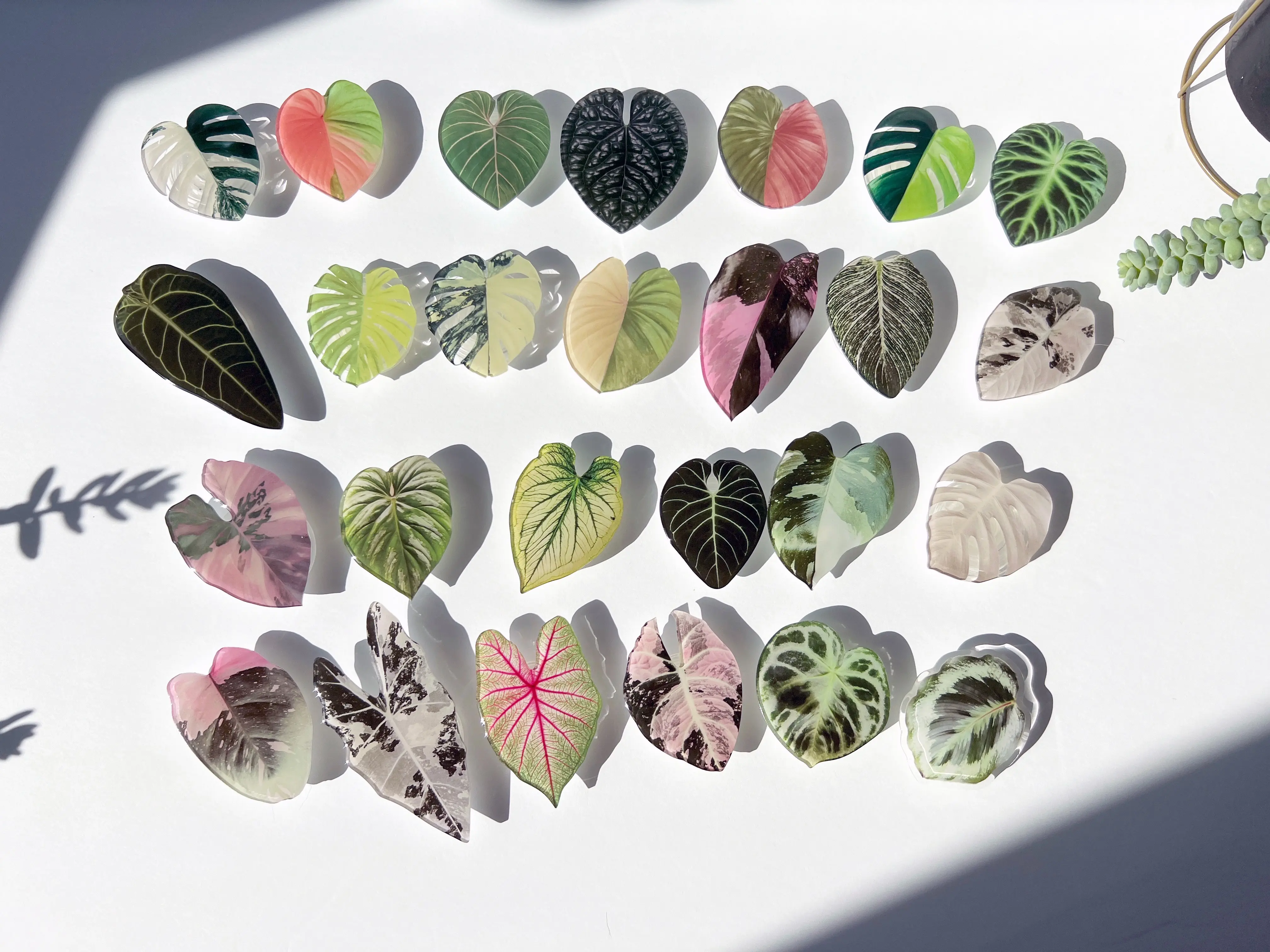 Plant Phone Stand | Leaf Phone Holder | Leaves Phone Accessories | Monstera Phone Stands | House Plant Phone Ring Grip Smartphone